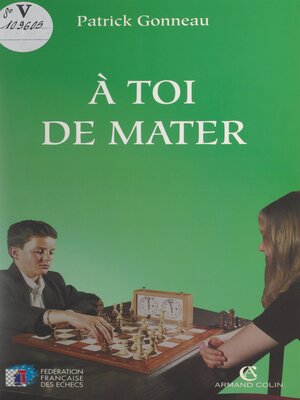 cover image of À toi de mater